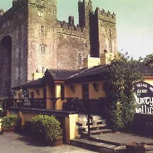 3* Hotel Shannon Shamrock