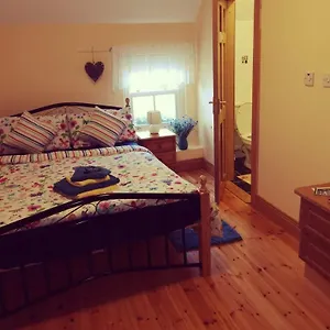 Nellys Bed And Bikes , Westport Ireland